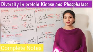 diversity in protein kinase and phosphatase  types and function of kinase and phosphatase  Hindi [upl. by Cohla]