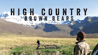 High Country Brown Bears Alaska Brown Bear Hunting [upl. by Madelina]