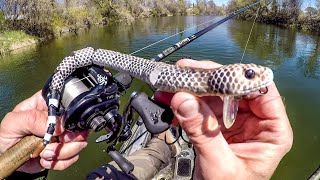 Fishing A Snake Lure For River MONSTERS [upl. by Aikemal]