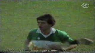 All Ireland Hurling Final 1981 Offaly vs Galway including Preview to Game [upl. by Reeba]