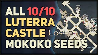 All 10 Luterra Castle Mokoko Seed Locations Lost Ark [upl. by Stefa]