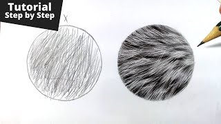 How to Draw Realistic Fur for Beginners [upl. by Inol]