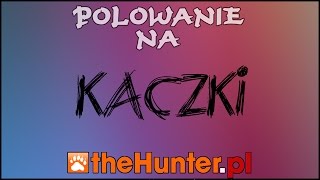 Polowanie na Kaczki  The Hunter S2Gameplay  60fps [upl. by Charles]