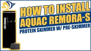 How to Install the AquaC RemoraS Protein Skimmer w PreSkimmer [upl. by Albright]