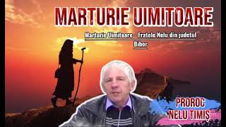 NELU TIMIȘ  Marturie Uimitoare  Fratele Nelu din judetul Bihor  Live [upl. by Veneaux]