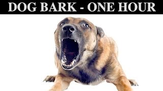 Sound Effects Of Dog Barking  ONE HOUR  BARK  GROWLING  CRY  PUPPY  WHINING  HQ [upl. by Aivatnuhs235]