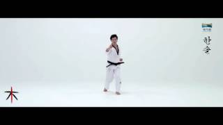 8th Taekwondo New Poomsae 한솔 Hansol for Age 50 60 Korean version [upl. by Marlyn514]