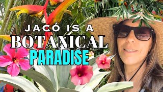 Botanical Tour of Jaco Costa Rica Part 1 [upl. by Jill]