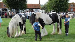 Gypsy cob horses Horsemonden Fair 2008 [upl. by Thorwald]