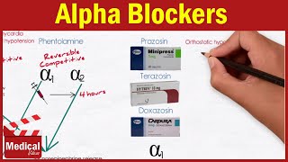 Pharmacology ANS 17 Alpha Blockers  Prazosin Terazosin Doxazosin Tamsulosin and Alfuzosin [upl. by Eirahs838]