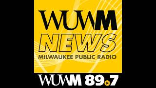 Voters sift through August ballot questions that Wisconsin Democrats call an attempted power grab [upl. by Kaden]