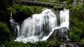 Der Triberger Wasserfall im Schwarzwald [upl. by Lela]