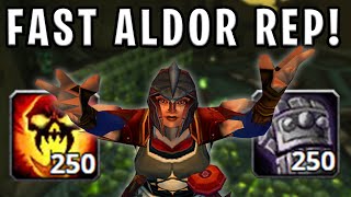 The FASTEST way to get ALDOR REP  TBC Classic Warrior [upl. by Namien]