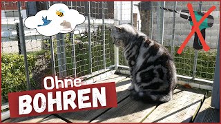 Balkon katzensicher machen  ohne Bohren  Sehr stabil [upl. by Ramyar803]