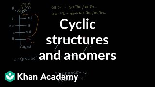 Carbohydrates  Cyclic structures and anomers  Chemical processes  MCAT  Khan Academy [upl. by Nyrmac]