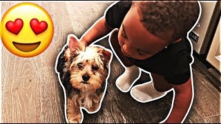 SURPRISING DJ WITH A NEW PUPPY  THE PRINCE FAMILY [upl. by Nala]