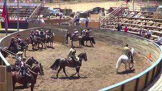 2DA SERIE LIBRE  RODEO CRIADORES CLUB ÑUÑOA ASOC CHACABUCO [upl. by Eenehs231]