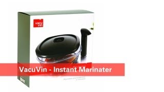 Vacu Vin Instant Marinater Review  Damn Good Reviews [upl. by Gabel]