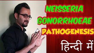 Neisseria gonorrhoeae pathogenesis amp clinical manifestations in hindi [upl. by Rhpotsirhc]