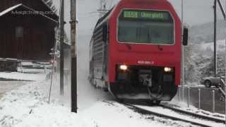 Züge im Schnee SBahn Niederweningen  Oberglatt [upl. by Herrington436]