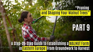 Pruning amp Shaping Your Walnut Trees [upl. by Brott]