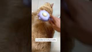 La meilleure brosse pour animaux 😻 chat cat animaux [upl. by Netram]