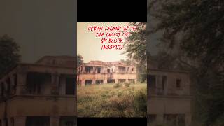 Urban Legend Ep 15 Ghost of GP Block Meerut gpblock meerut horrorstories meerutnewz [upl. by Parish]