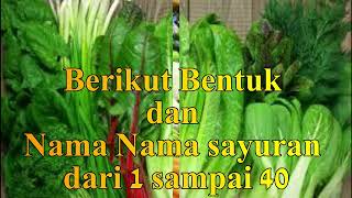 NAMA SAYUR SAYURAN [upl. by Dotty48]