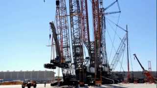 LR 13000 Liebherr Weltrekordkran [upl. by Stultz]