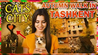 Autumn Walk in City of Cats Tashkent Fall Ambience Golden Foliage Life in Uzbekistan today 2023 [upl. by Screens]