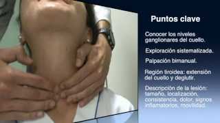 Exploración del cuello  Neck examination [upl. by Sharl665]