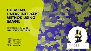 The Mean Linear Intercept Method Using ImageJ [upl. by Onoitna658]