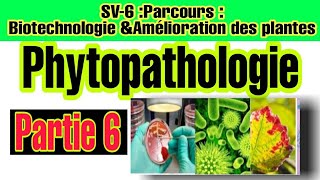 Phytopathologie  Partie 6 Terminologie Liée aux agents pathogènes [upl. by Tandy]