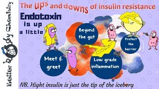 Endotoxin in insulin resistance [upl. by Quincy579]