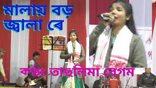 Malai Boro Jala reমালায় বড় জ্বালা রেTaslima Begum [upl. by Anidal]