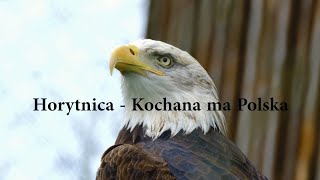 Horytnica  Kochana Ma Polska TELEDYSK [upl. by Ayamahs970]