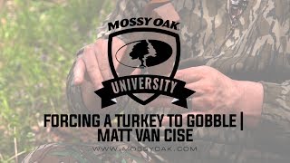 How to Make a Turkey to Gobble  Matt Van Cise [upl. by Gunner527]