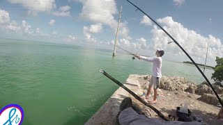 Florida Keys Fishing Islamorada And Snook Site Seeing [upl. by Malvino]