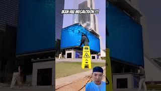 Kasi makan hiu megalodon funny sharkfeeding vfx sharklove travel smartphone baskingshark [upl. by Brock112]