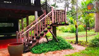 Amazing Wooden House Green GardenSras Srang Siem ReapCambodia🇰🇭 Khmer Style House Design [upl. by Ehling]