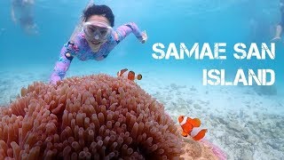 Samae San Island Snorkeling  Samaesarn  Sattahip  Pattaya [upl. by Bethina]