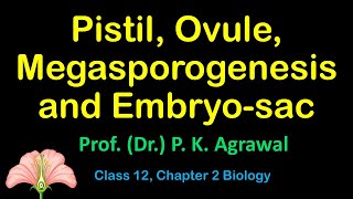 Pistil megasporangium ovule Embryosac  megasporogenesis  Class 12 Chapter 2 Video 6 [upl. by Newg629]