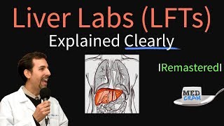 Liver Function Test Interpretation LFTs  Liver Enzymes Remastered Bilirubin GGT Alk Phos [upl. by Kavanaugh888]