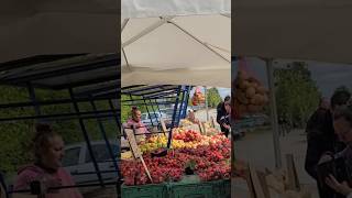 Croatia zagreb city Sunday market 🇪🇺🇭🇷 europeancapital marketing moments professional short [upl. by Marbut]