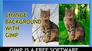 ChangeRemove Background with Gimp for free [upl. by Dian520]