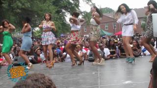 ATL GREEK PICNIC 2010 AKA ALPHA KAPPA ALPHA STROLLING [upl. by Savell791]