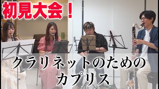 【初見】クラリネットのためのカプリス／Caprice for Clarinetsを演奏してみた！ [upl. by Meenen]