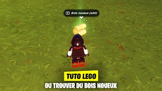 OU TROUVER DU BOIS NOUEUX ET COMMENT LE RECUPERER  LEGO FORTNITE [upl. by Trebo492]