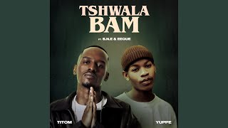 Tshwala Bam feat SNE EeQue [upl. by Ahsemik]