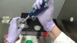 A Day in the Life of an Andrology amp Endocrinology Lab Supervisor  IVF Fertility Clinic [upl. by Ronald]